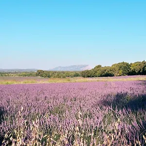 Maison Francoise Frühstückspension Aix-en-Provence