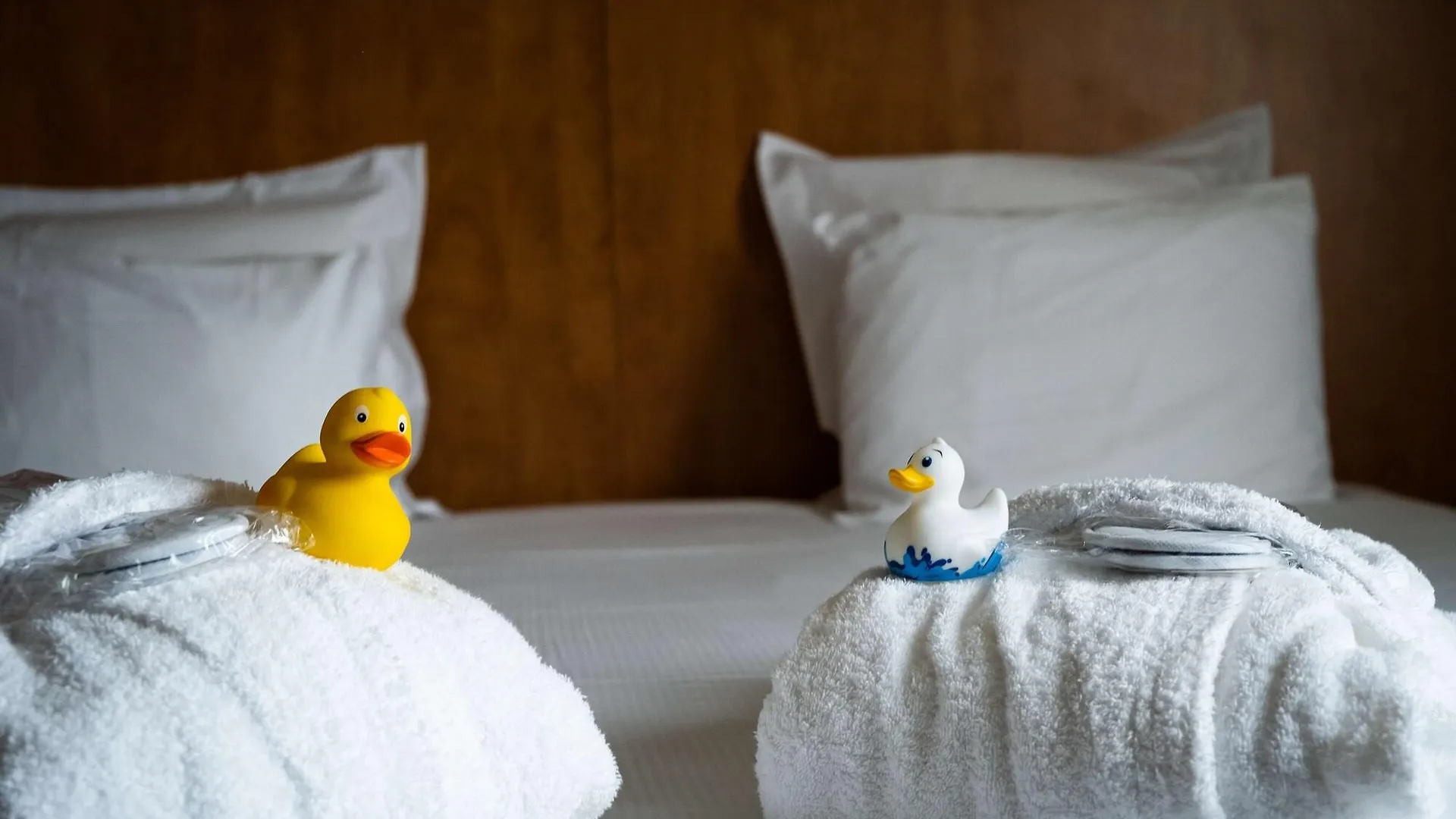 Best Western Plus Le Canard Sur Le Toit Colomiers Hotel
