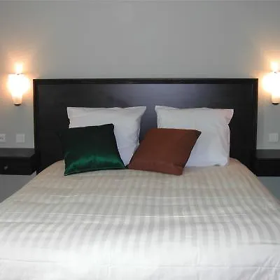 Best Western Plus Le Canard Sur Le Toit Colomiers Hotel